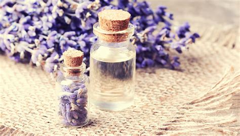 Lavender and Manifestation: Discovering its Magical Influence
